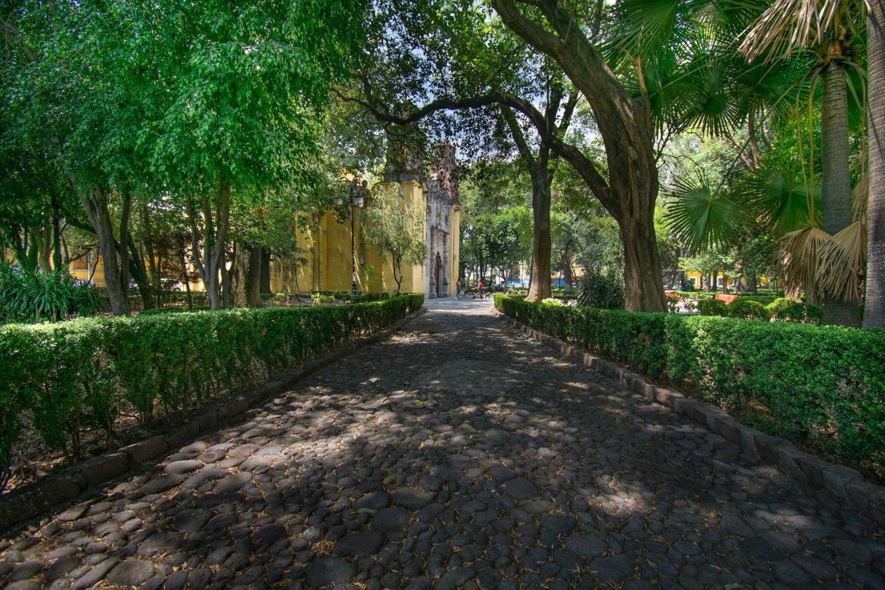 Fl 59 Coyoacan At Your Doorstep! Apartment Mexico City Exterior photo