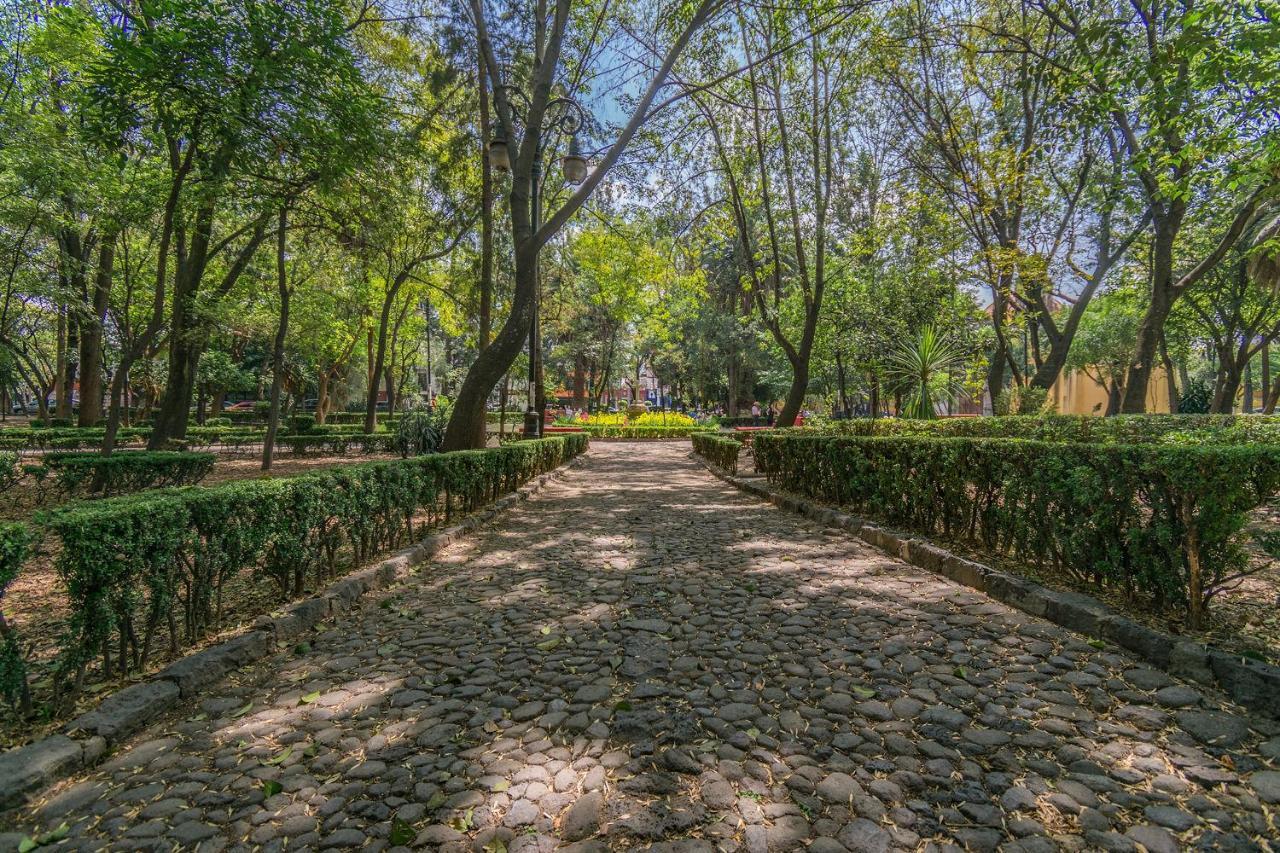 Fl 59 Coyoacan At Your Doorstep! Apartment Mexico City Exterior photo
